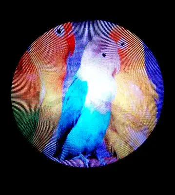 3D светодиодный вентилятор для рекламы вращающийся дисплей диаметр 440 мм 200 цветов