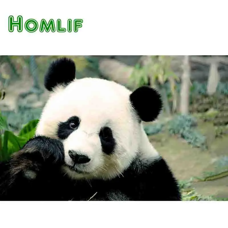 2018 Panda 5D Алмазная вышивка пончик картины по номерам полный квадратный алмаз