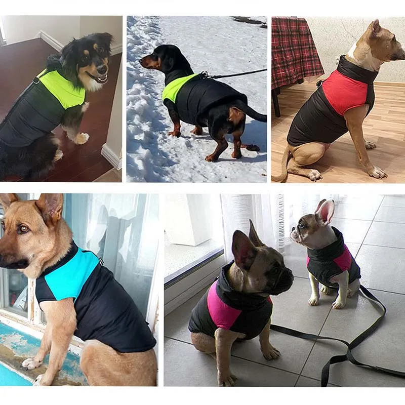 Водонепроницаемый жилет для собак Одежда чихуахуа теплая зимняя одежда пальто