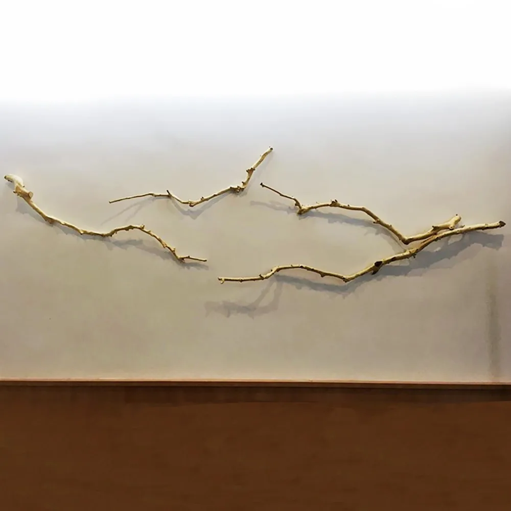 Аксессуары для рептилий и скалолазания коробка кормления сухие ветки из