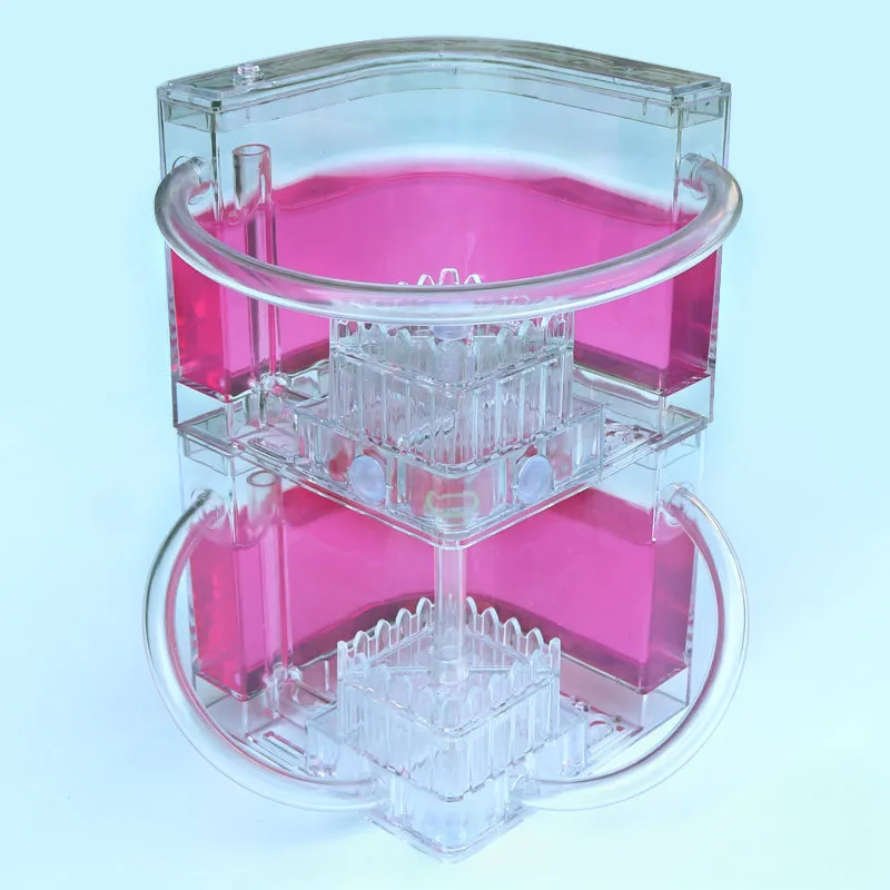 Муравей фермы DIY с зоной кормления муравьи гнездо акрил насекомых гнезда вилла