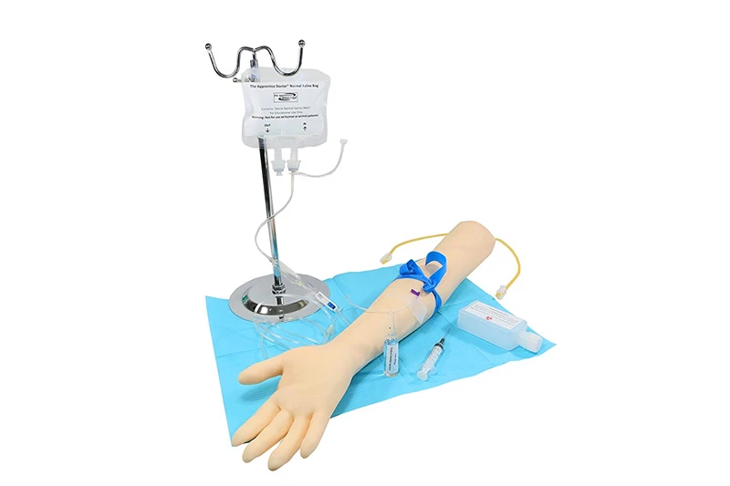 Жизненный размер анатомическая IV флеботомия Venipuncture тренировка рука инъекция