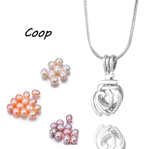 Подвеска с жемчужной клеткой Angel Key Love Wish разные стили модный медальон жемчужиной