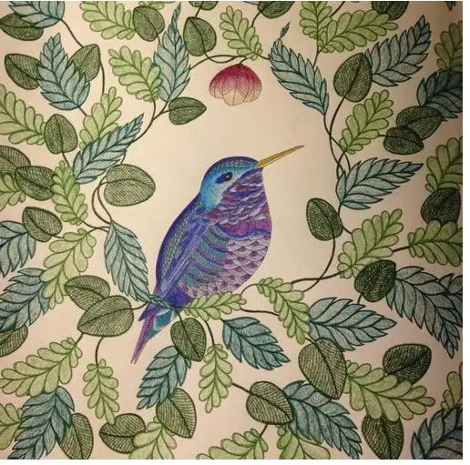 24 страниц животного Королевство английское издание антистресс раскраска для