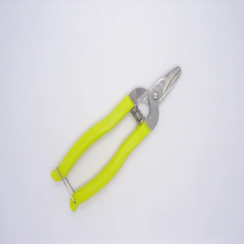 high quality stainless steel orange scissors small fruit tree pruning shear for gardening experts | Инструменты