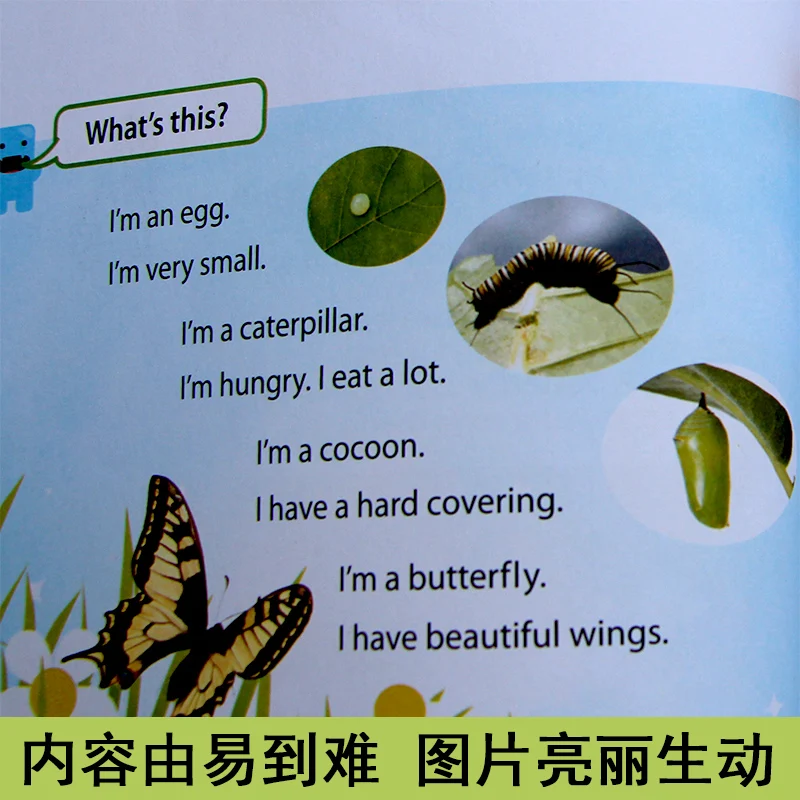 new arrival 8pcs/set American school textbook Reading Key Books for Kid Children with CD Prek 1 to 4 |