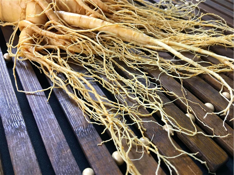 Топ Класс свежий корня женьшенья в вакуумной упаковке и листев свежий корень женьшеня