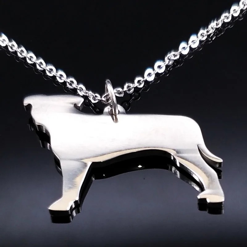 Ожерелья и кулоны для собак из нержавеющей стали с надписью Best Friend Dog Tag Chocker