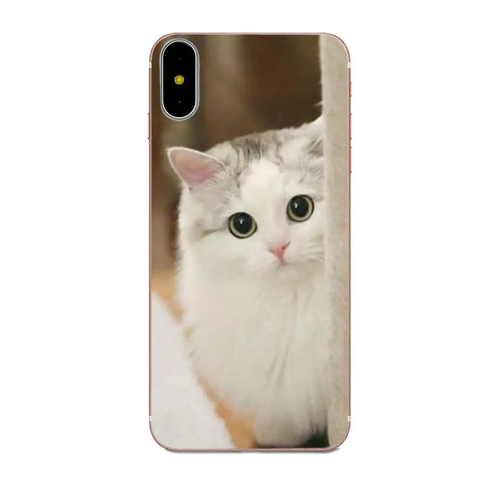 Любопытный Кот подкрадывающийся для Huawei Mate 7 8 9 10 20 P8 P9 P10 P20 P30 Lite Plus Pro 2017 Diy рисунок