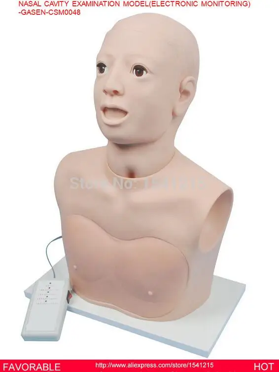 Манекен тела медицинского обучения манекены симуляторы носовой полости модель