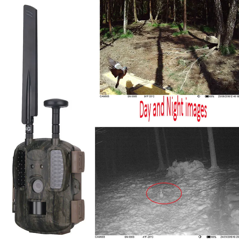 Инфракрасная охотничья фотоловушка с функцией ночного видения 4G 1080 нм|hunting trail