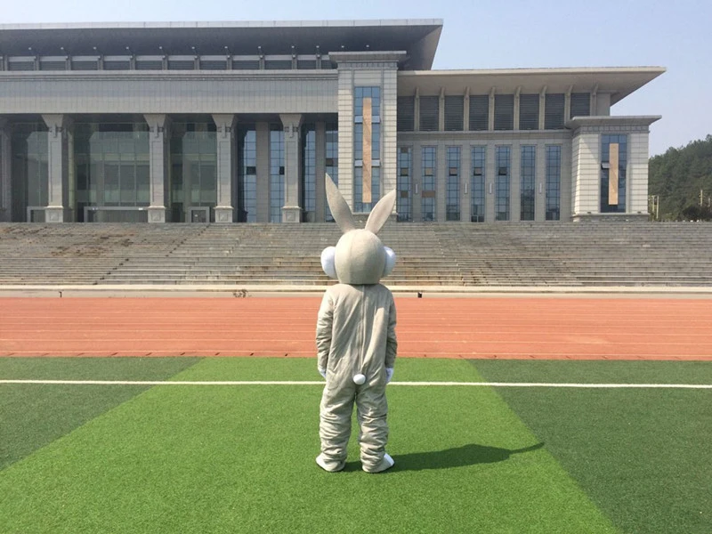 Горячая распродажа! Косплей фестиваль специальный Пасхальный кролик взрослый