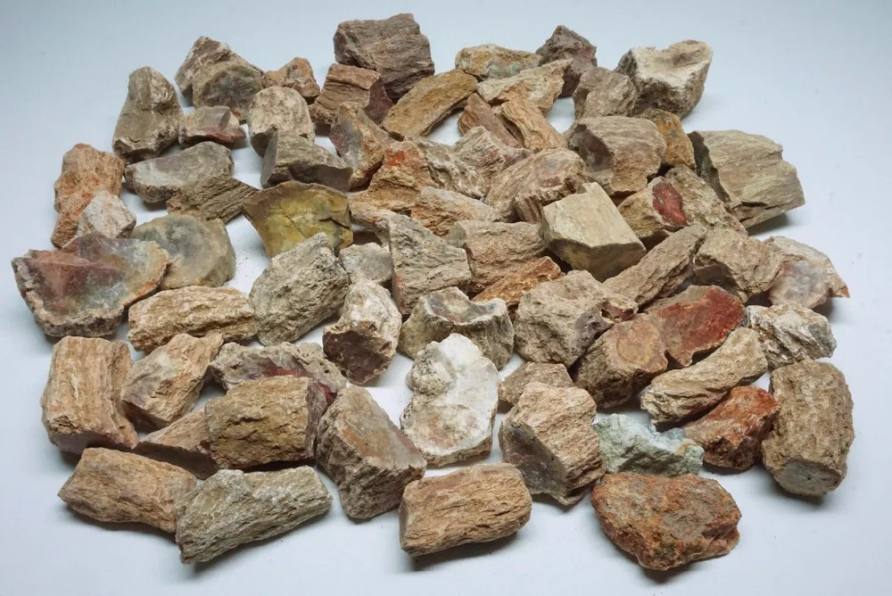 

100-150 г натуральная петрифицированная древесина, ископаемый кристалл, полированный ломтик, минеральный образец