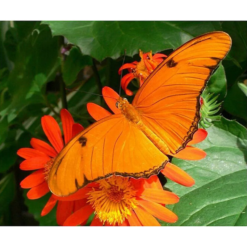 

YIKEE diamond painting indian horse Handmade Needlework DIY Diamond Embroidery Mosaic Rhinestone Picture y560