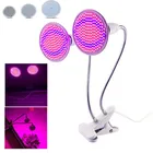 Полноспектральная Светодиодная лампа для выращивания растений, двойная головка, 200 светодиодов, лампа для выращивания цветов, красная, синяя УФ-лампа, инфракрасная лампа с зажимом для комнатного зеленого дома