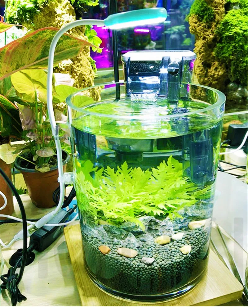 Мини-светодиодный светильник для аквариума, водное растение 6500 k, 3 w, USB зарядка, угол 360 градусов, регулируемая зарядка компьютера