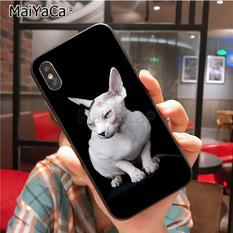 Уникальный силиконовый чехол для телефона MaiYaCa sphynx cat для iphone 11 Pro 6S 6plus 7 7plus 8 8Plus X 5 5S чехол