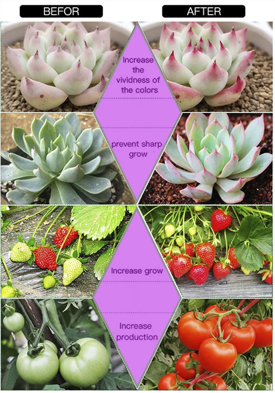 Светодиодный grow light 20 W 30 W 50 W 220 V COB полный спектр светодиодный светильник для гидропонная теплица для выращивания "сделай сам" для комнатные растения, овощи и цветение