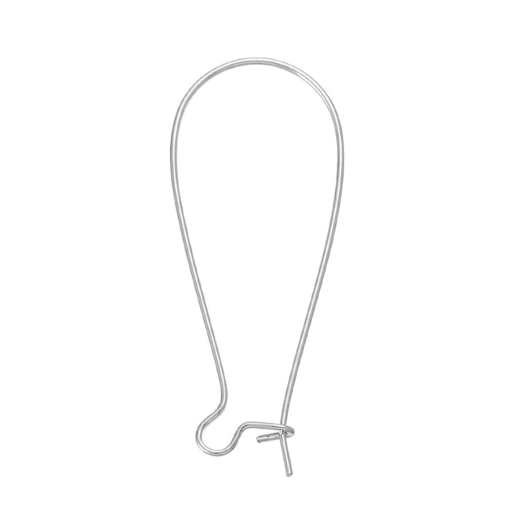 Коробка Doreen из сплава и на железной основе крючки для ушей серьги 38 мм (1 4/8 дюйма) x