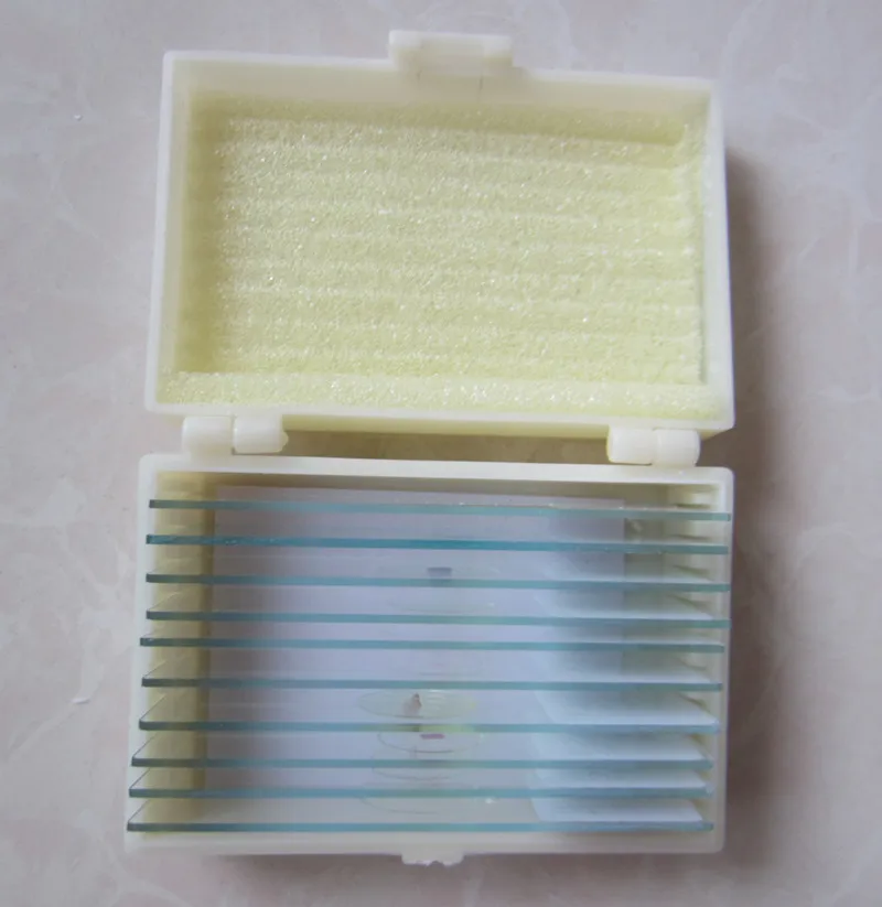 10 шт. детский Биологический микроскоп|Микроскопы| |