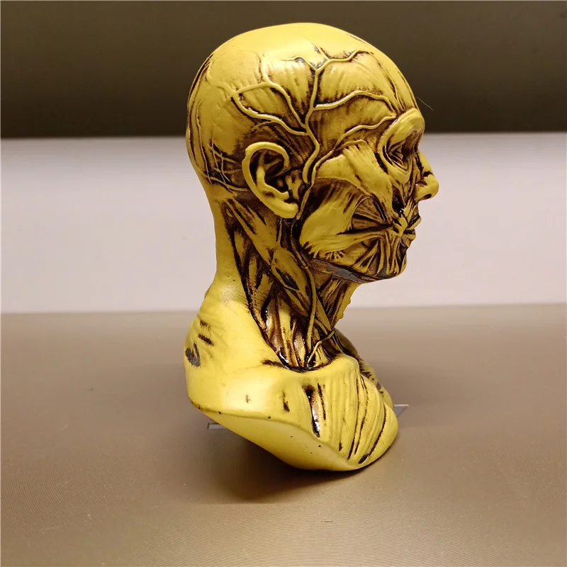 Высокое качество Смола ремесло человек бюст тело Череп Анатомия мышцы нерв