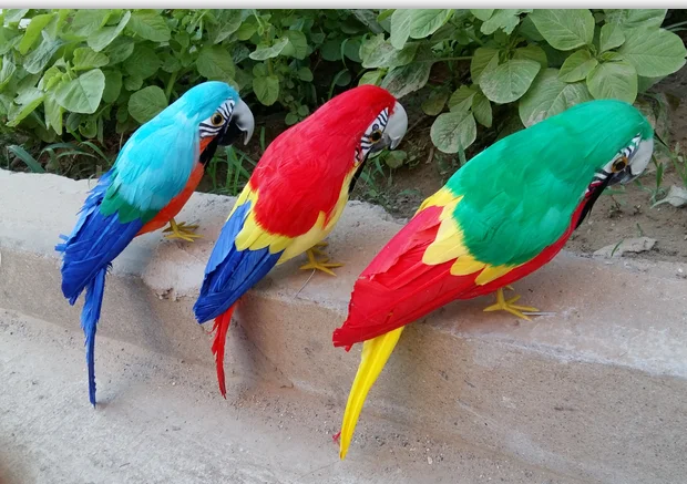 

30cm colourful feathers bird model beautiful parrot simulation bird handicraft prop,home garden decoration gift p2500