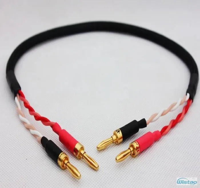 IWISTAO HIFI Акустический кабель для музыкального объемного центра динамик с японским