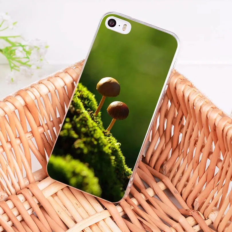MaiYaCa красочные грибы в лесу Мягкий ТПУ чехол для телефона iPhone 8 7 6 6S Plus X 5 5S SE 11pro max