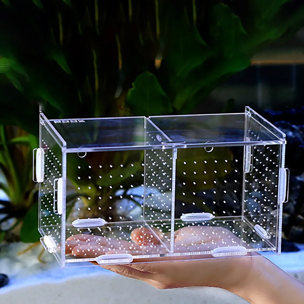 Акриловая коробка для аквариума изолирующая мальков маленьких рыбок Betta