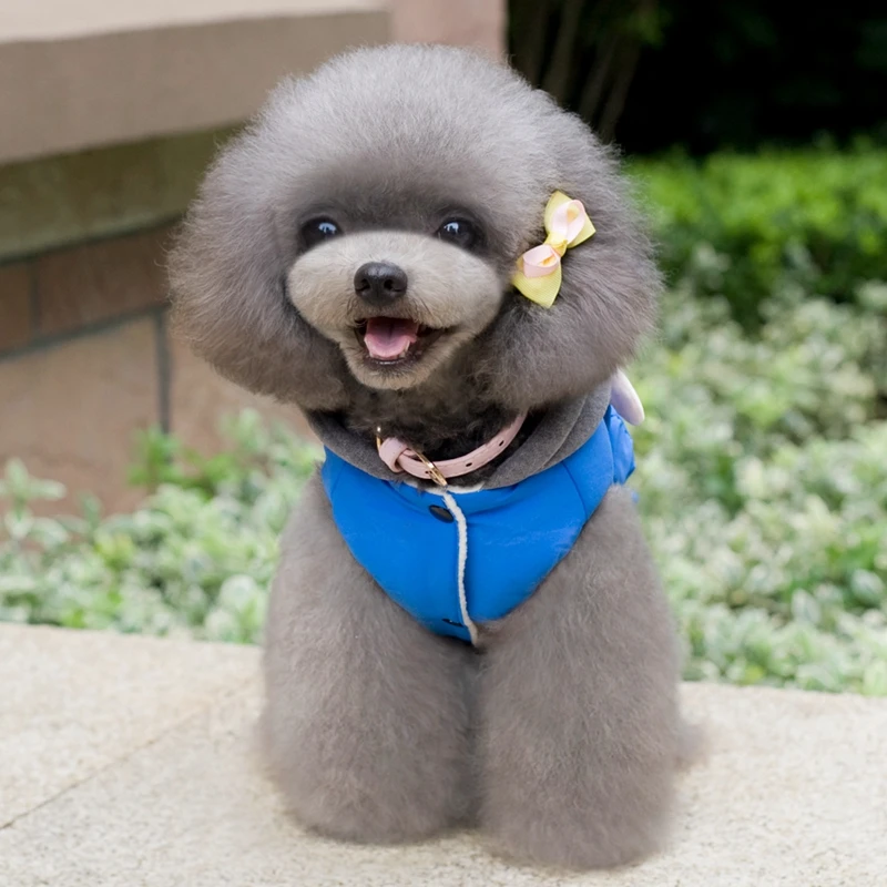 2017 Высококачественная зимняя куртка с двумя ножками для собак теплая хлопковая