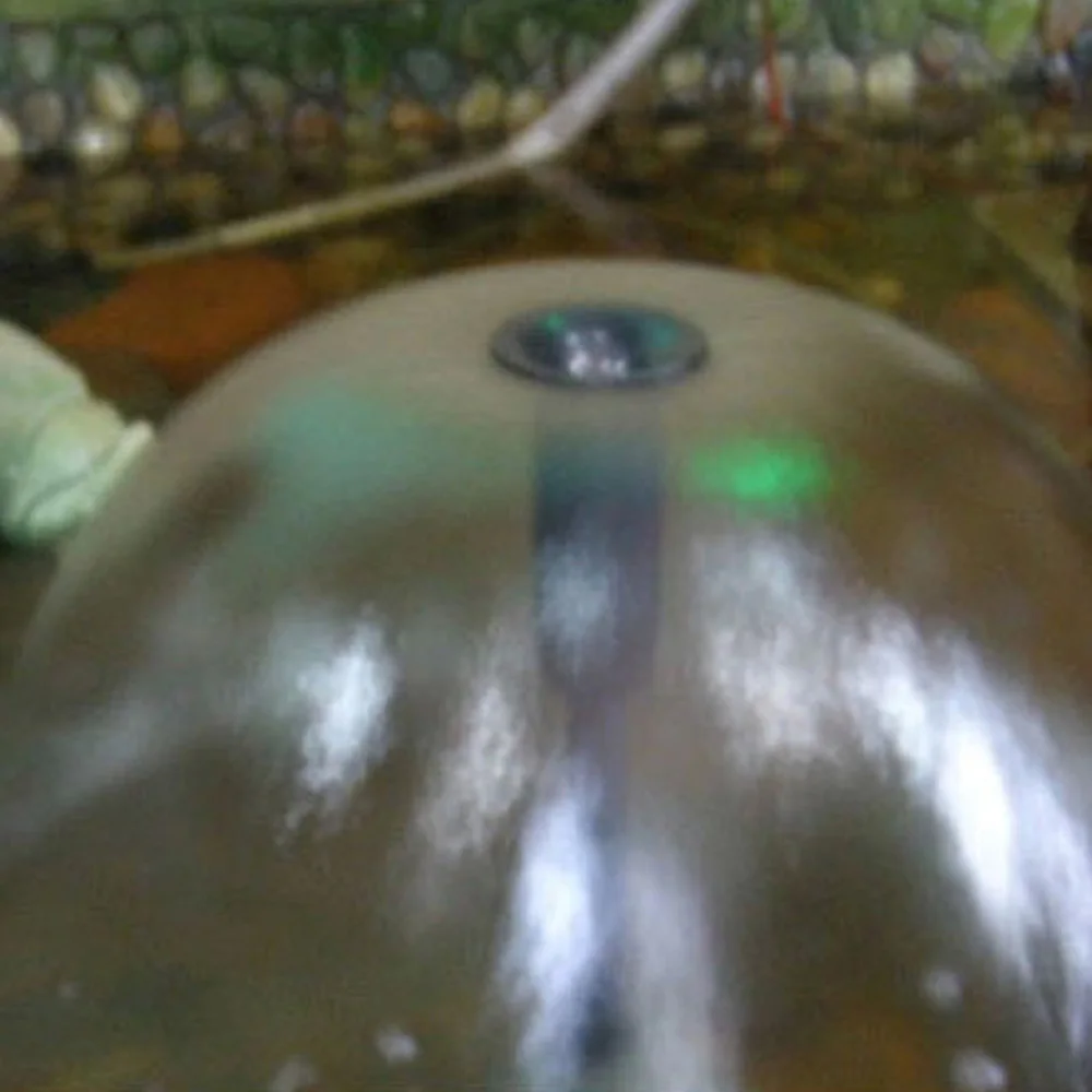 8 шт. насадка для фонтана на солнечной батарее|Фонтанчики и купальни птиц| |