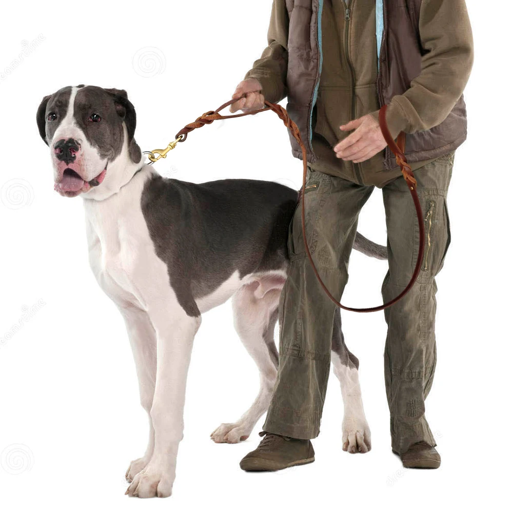 Поводок Didog для собак из натуральной кожи двойная ручка плетеные дорожные