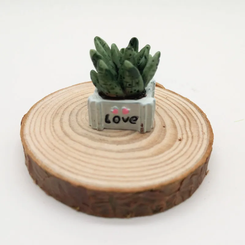 4 шт. суккуленты Цветочные растения мини бонсай миниатюрный Сказочный Сад