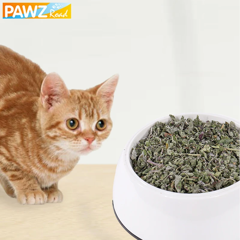 Catnip игрушка кошка 10 г/упак. натуральный здоровый нетоксичный питомец чистка зубов путешествия закуска для котенка Catmint игрушка для питомца