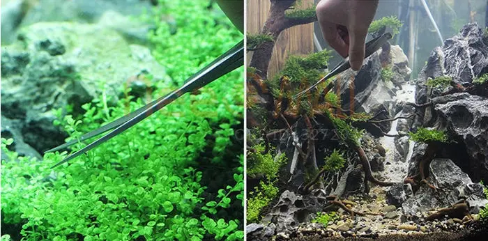 Chihiros VIV водные ножницы из нержавеющей стали для растений, качество ada для аквариума для рыб