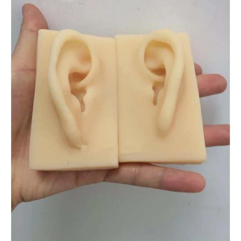 Модель уха в натуральную величину для детского силиконового Акупунктура