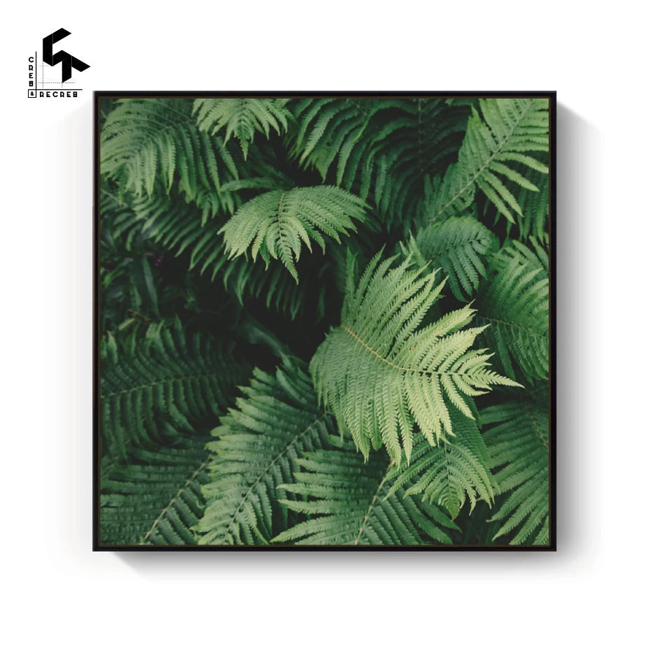 CREATE&ampRECREATE Nordic Poster Fern Leaf Posters And Prints Canvas Art Wall Painting Home Decoration Pictures CR1810110024 | Дом и сад