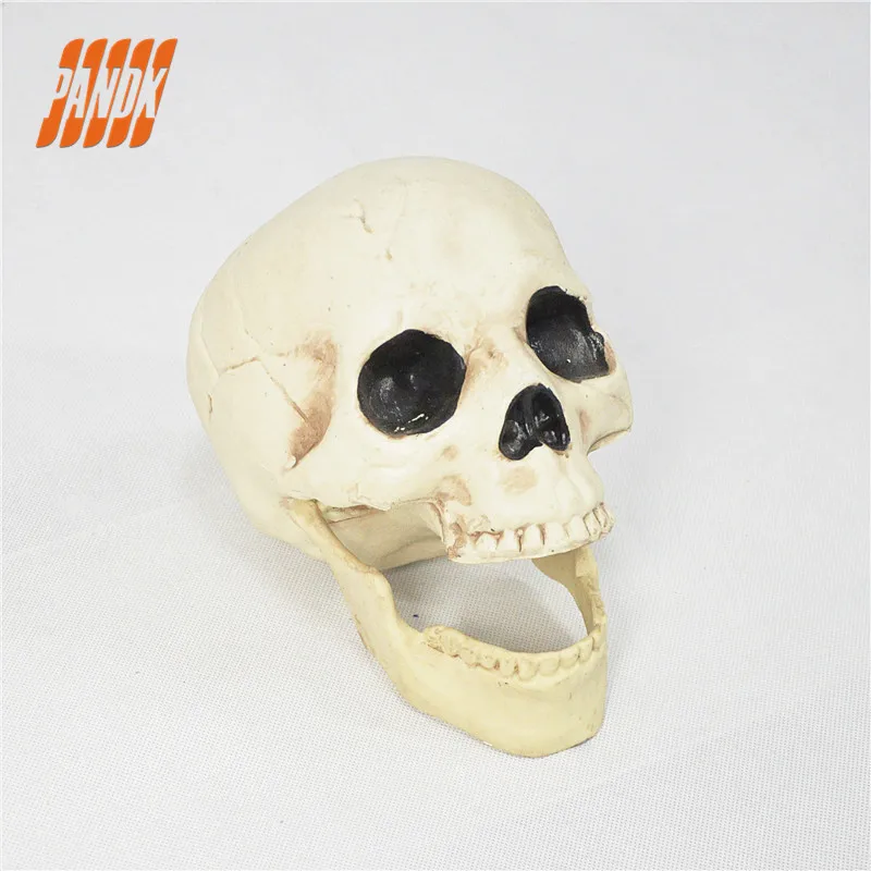 Хэллоуин Череп Пластик жизни Размеры реалистичные череп Опора страшные