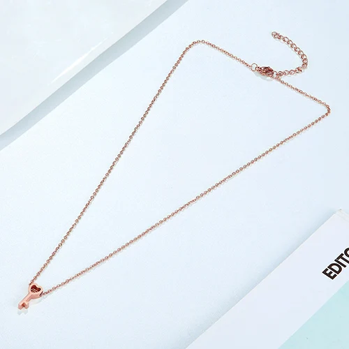 N00008ROSE Ожерелье из нержавеющей стали, модная пара, подвеска для ключей, Дамская ключица, золотое ожерелье, подарок на день Святого Валентина, ювелирное изделие - Окраска металла: N00008ROSE