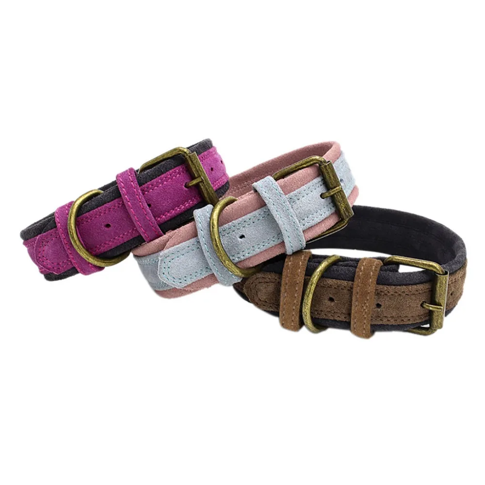 Светящийся собачий ошейник Transer базовый унисекс все сезоны и набор поводков жгут