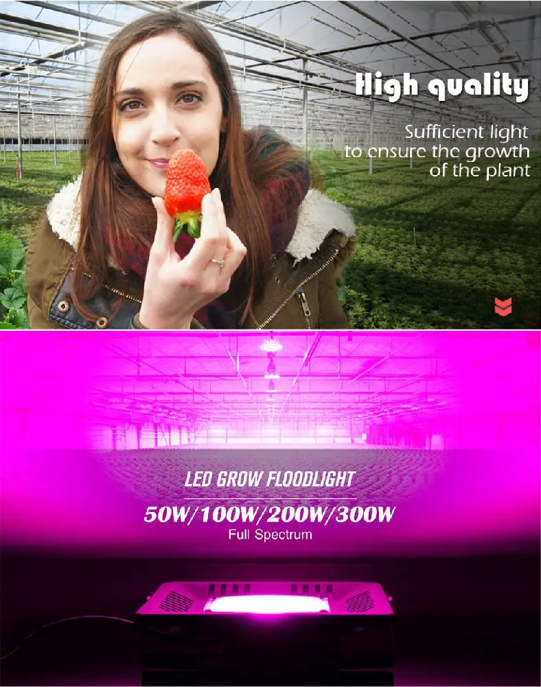 50W 100W 200W 300W полный спектр светодиодный Grow светильник Водонепроницаемый IP67 COB рост потолочные светильник для завода Крытый гидропонное парниковых