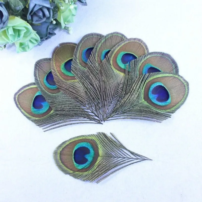 

20pcs Real Peacock Feather Trimmed peacock eye costumes Necklace earrings accessories wedding Decorative 10-12cm