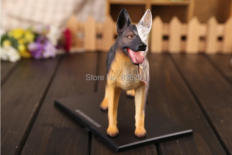 4D Master vision медицинская собака анатомическая модель полностью съемные детали тела