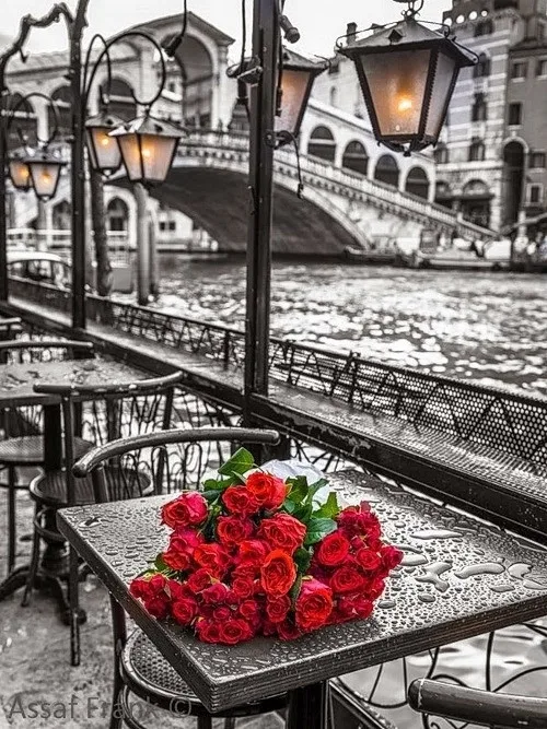 Алмазная мозаика цветы красной розы полная выкладка вышивка крестиком бусины