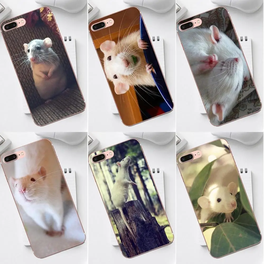 Qdowpz граффити крыса носить очки Ist Banksy для iPhone 4 4S 5 5C SE 6 6S 7 8 Plus X XS Max XR Galaxy A3 A5 J1 J3 J5 J7