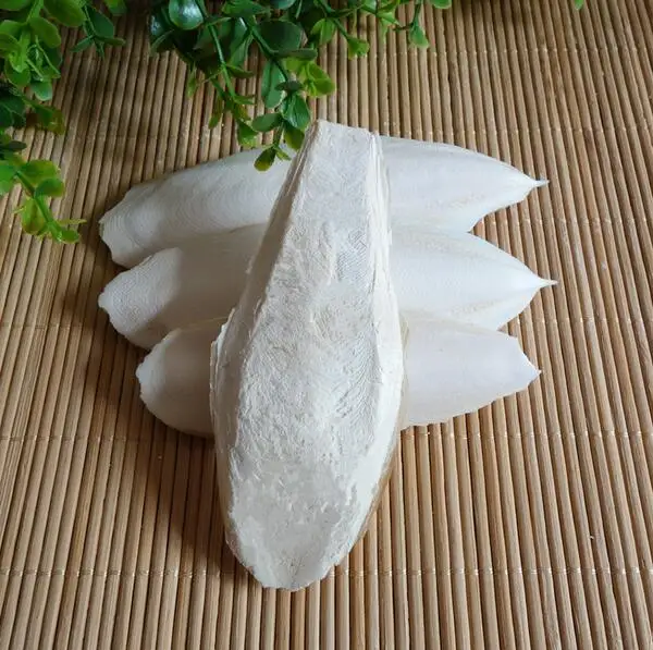 10 шт или 20 шт./компл. Cuttlefish Bone жевательная игрушка для попугаев домашних животных