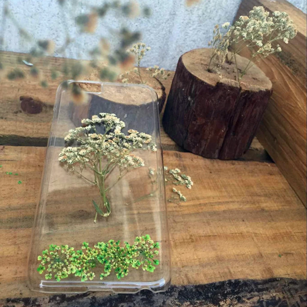 12 шт. натуральный прессованный цветок для изготовления карт и Цветочная