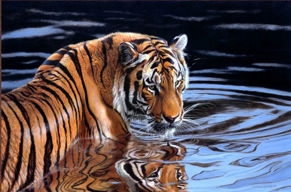 

DIY 5d Diamond Painting Full Embroidery Square/round Cross Stitch Home Decor Tiger Full Drill Picture By Numbers