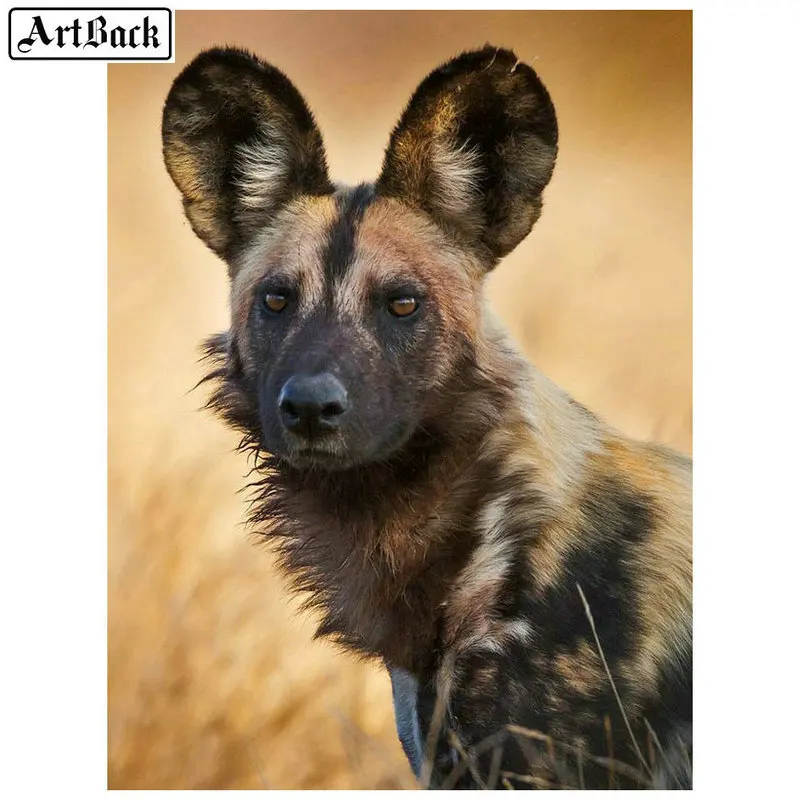 5d алмазная живопись гиена Африканские животные собака полный квадратный набор