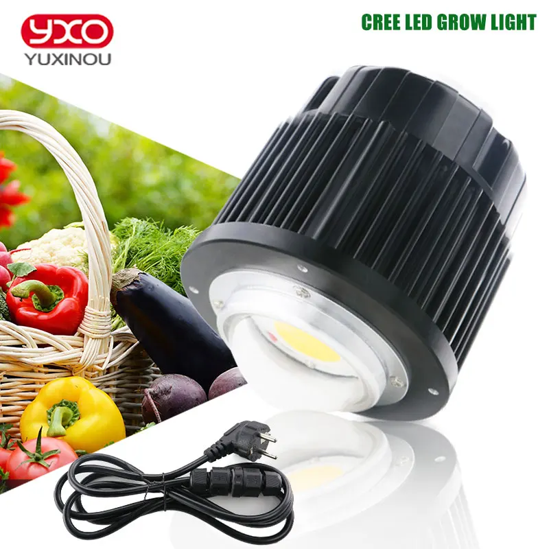 

CREE CXB3590 100W COB CITIZEN LED Grow Light Full Spectrum 12000LM = HPS 200W Growing Lamp for Hydroponics plant Growth lights